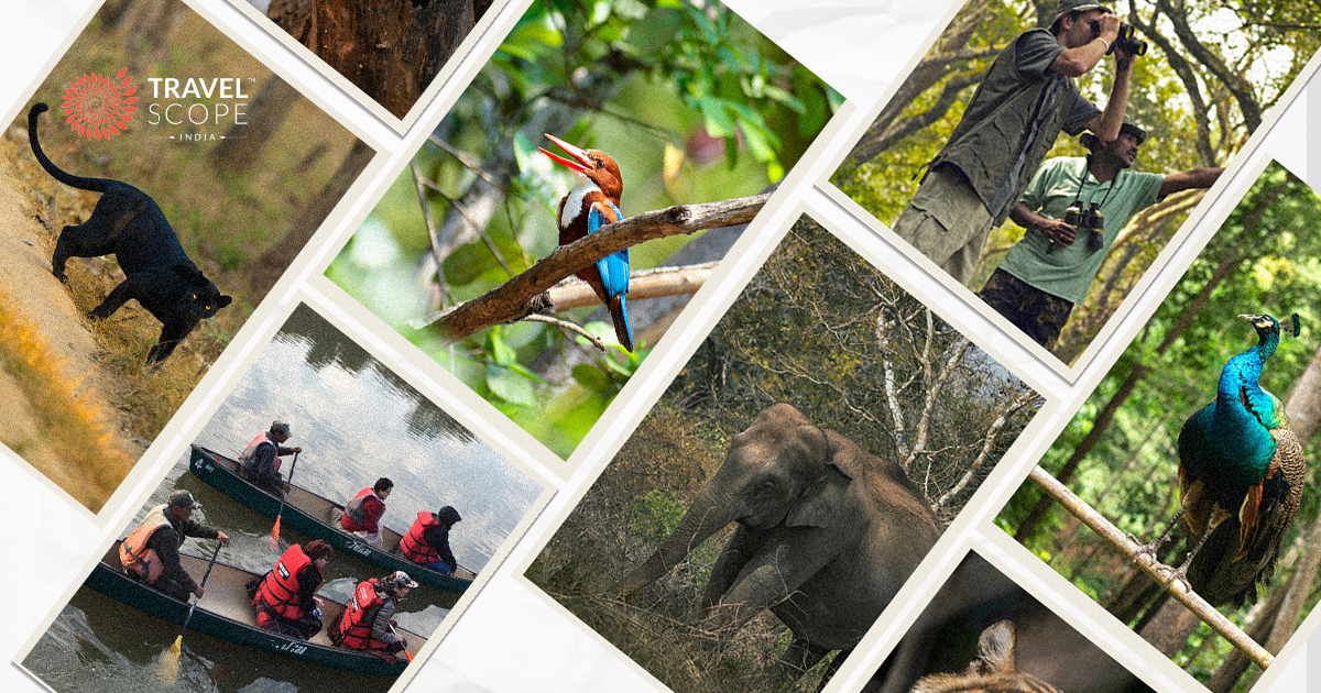 Top 10 Wildlife Experiences of India the World Hasn’t Heard Of