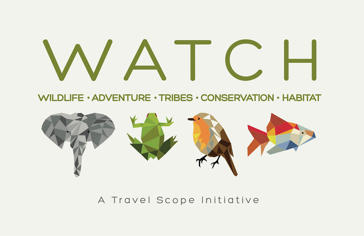 Travel Scope initiative