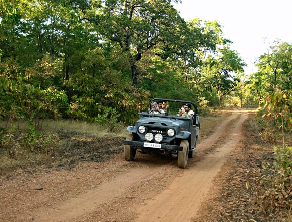 Bandhavgarh Jeep Safari