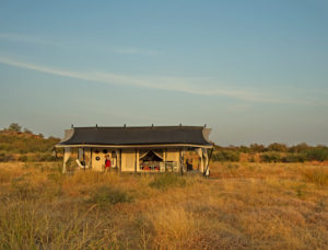 Jawai Leopard Camp by tour operators in india