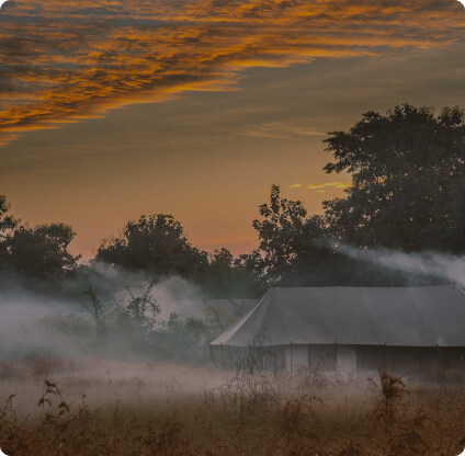 Jamtara Wilderness Camp