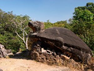 Bandhavgarh Bicycling