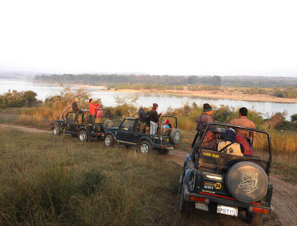 Panna Jeep Safari