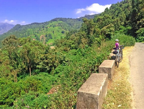 Munnar Cycling Trails