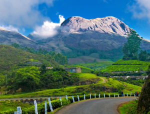 Munnar Hikes & Treks