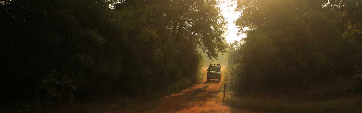 Jeep Safari, Tadoba