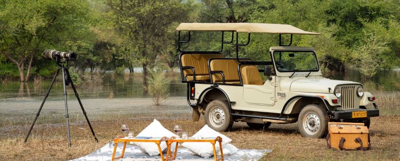 Jeep Safari at Chhatrasagar