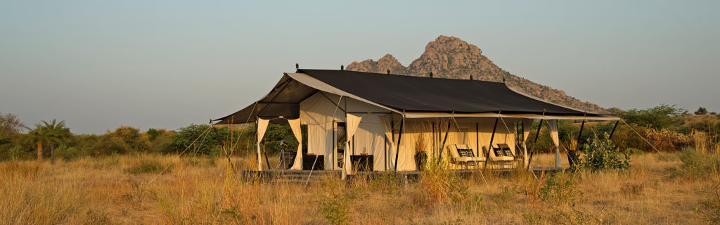 Wildlife Lodges 