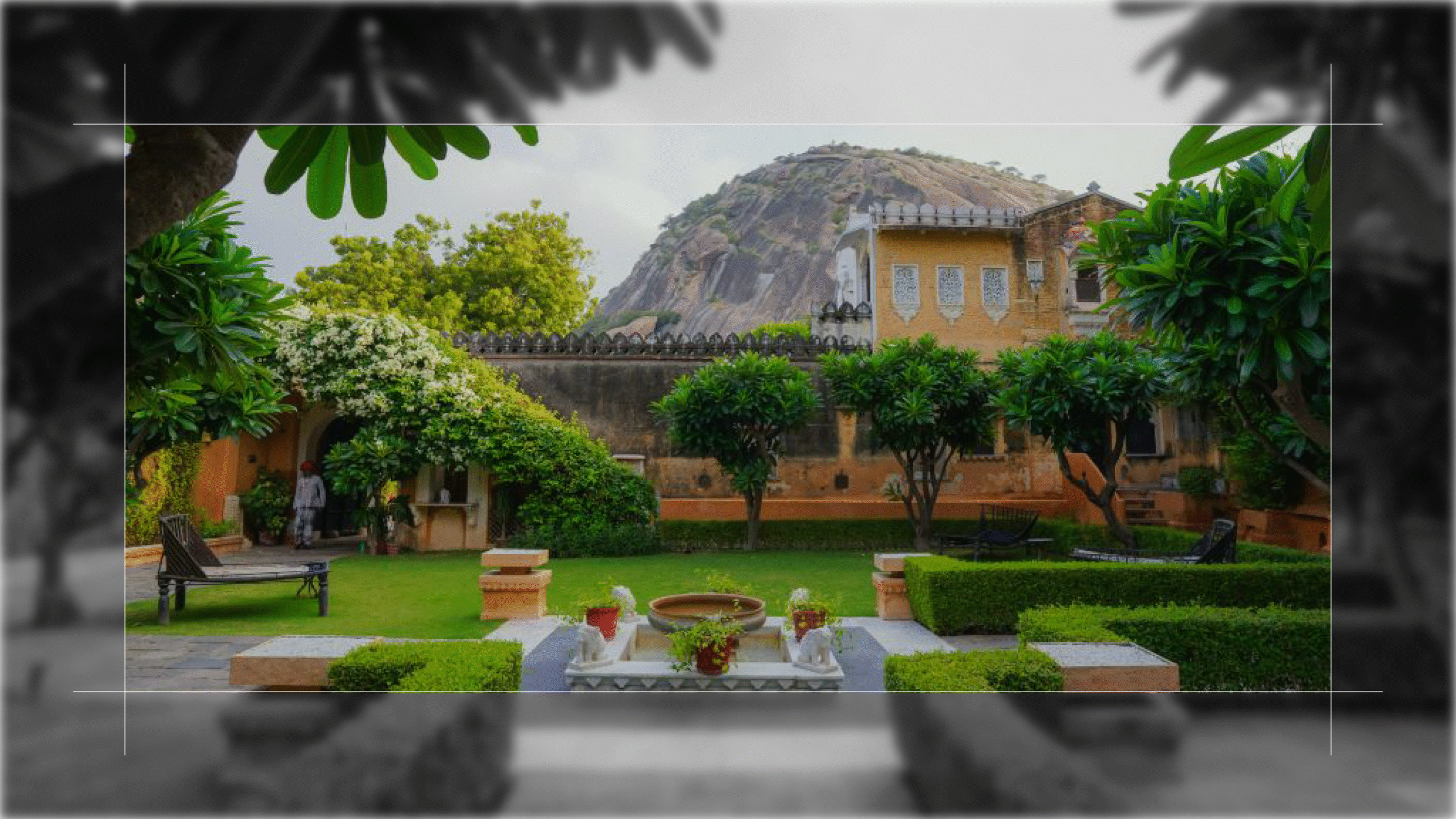 Stepwells, Leopards, and Lakes – Rajasthan Differently