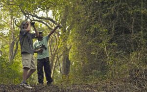Birdwatching Trails in Coorg