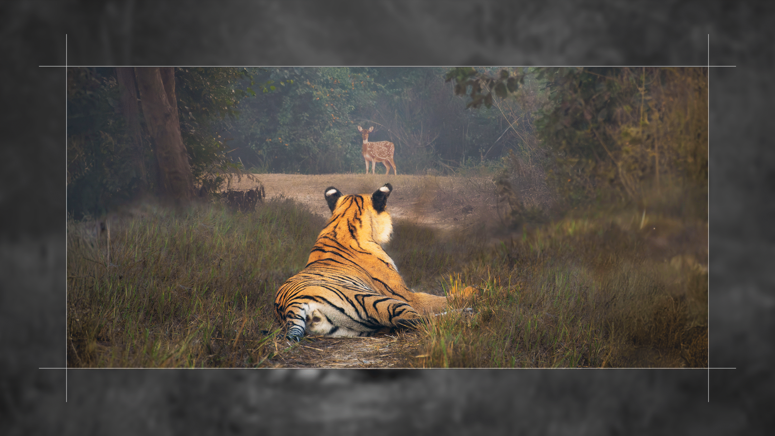 India’s Hidden Wildlife Experiences